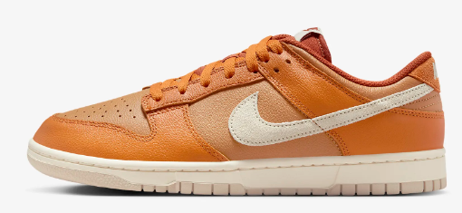 Nike Dunk Low Retro SE Men's Shoes $99.97 $125 20% off