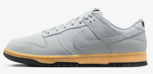 Nike Dunk Low Retro SE Men's Shoes $125