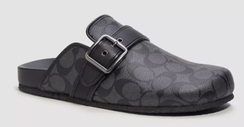 Coach Outlet Ships and sold by Coach Outlet clog sandal in signature canvas $139.00 Regular price $178.00 Sale price 22% off