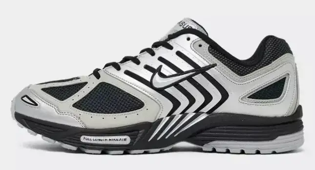 Men's Nike Air Pegasus 2005 Casual Shoes Size: 11.0 Color: Metallic Silver/Metallic Platinum/Flat Silver/Black $65.00 $150.00