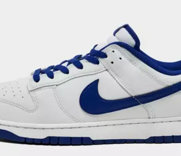 Nike Dunk Low Retro Casual Shoes $70.00 $120.00
