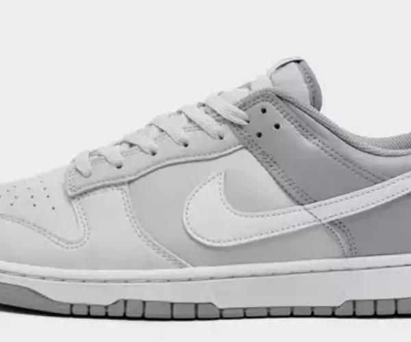 Nike Dunk Low Retro Casual Shoes $80.00 $120.00