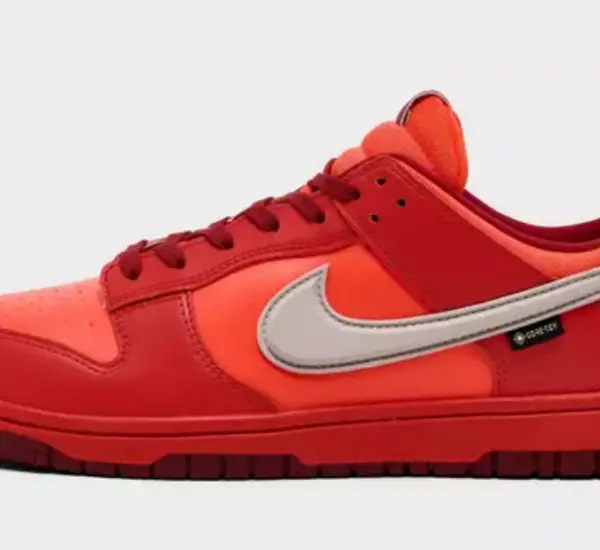 Nike Dunk Low GORE-TEX Casual Shoes $90.00 $155.00