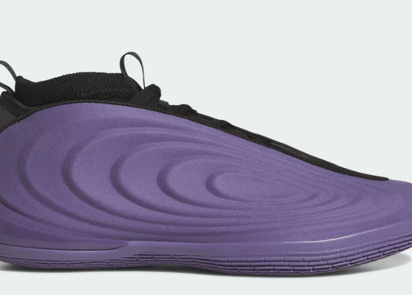 Adidas Harden Volume 10 $120.00 Regular price $160.00