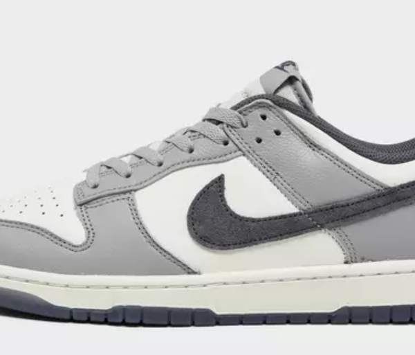 Nike Dunk Low Retro Premium SE Casual Shoes (Men's Sizing) $80.00 $130.00