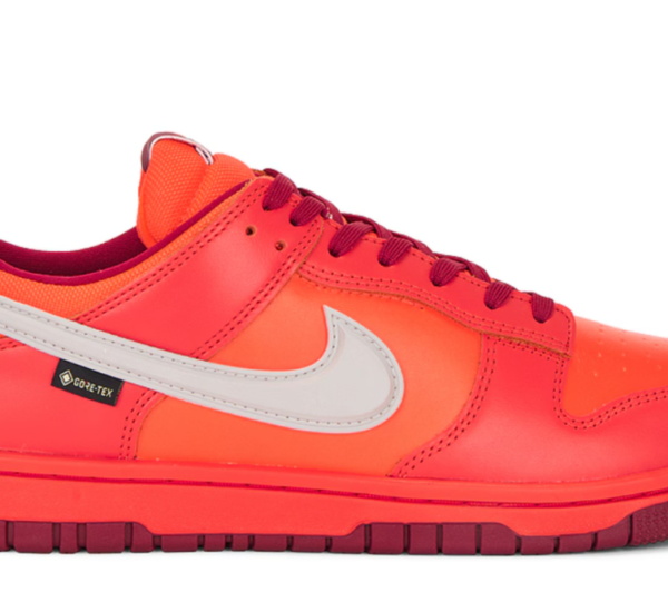 Dunk Low GTX Sneaker Nike brand:Nike $78 Previous price: $155
