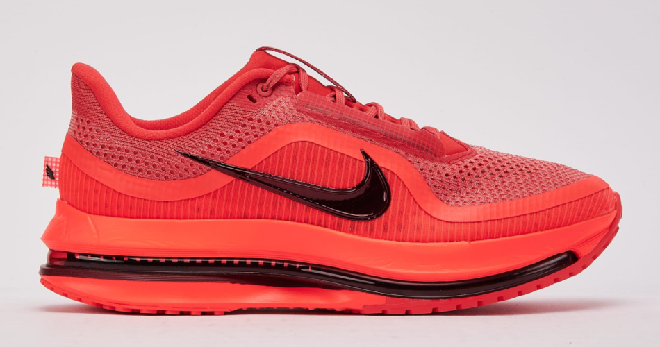 Nike Pegasus Premium is $119.98 at DTLR, down from $220 (46% off). Full size run at the time of scan.