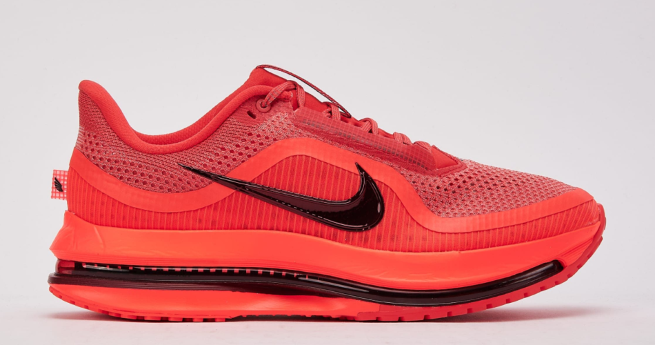 Nike Pegasus Premium Regular price $220.00 $119.98