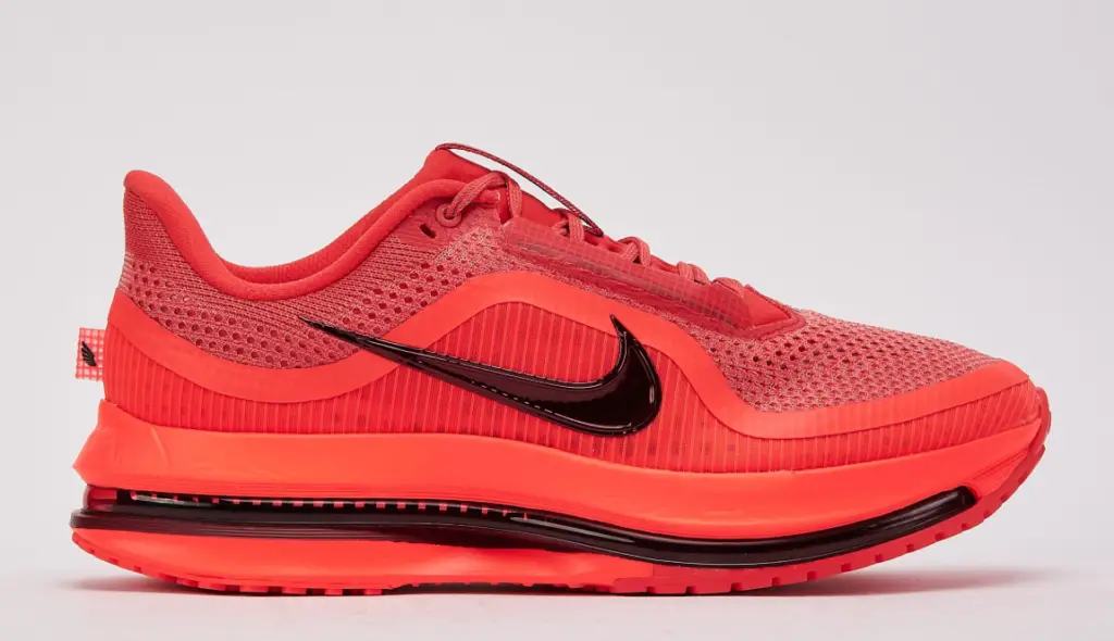 Nike Pegasus Premium
